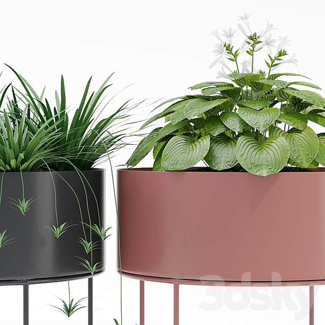 Plant box round 3d