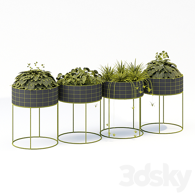 3dsky Free Download