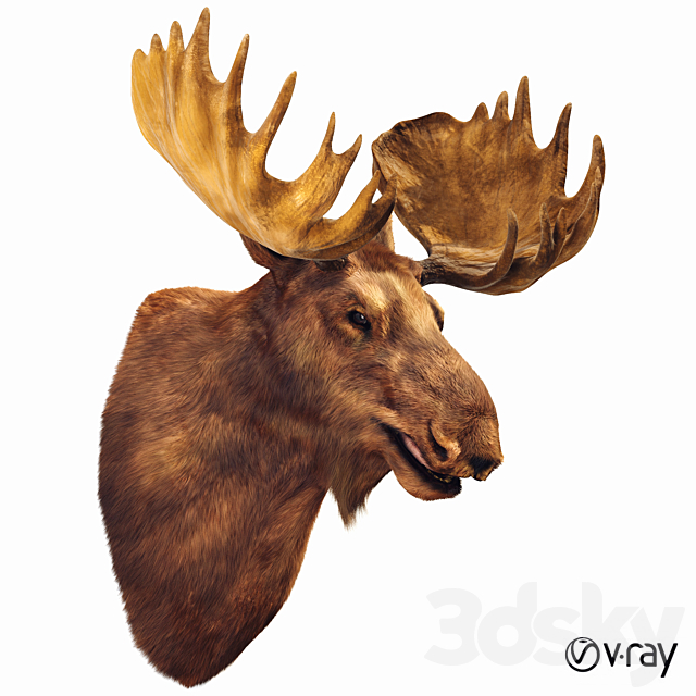 Elk head 3DSMax File - thumbnail 1