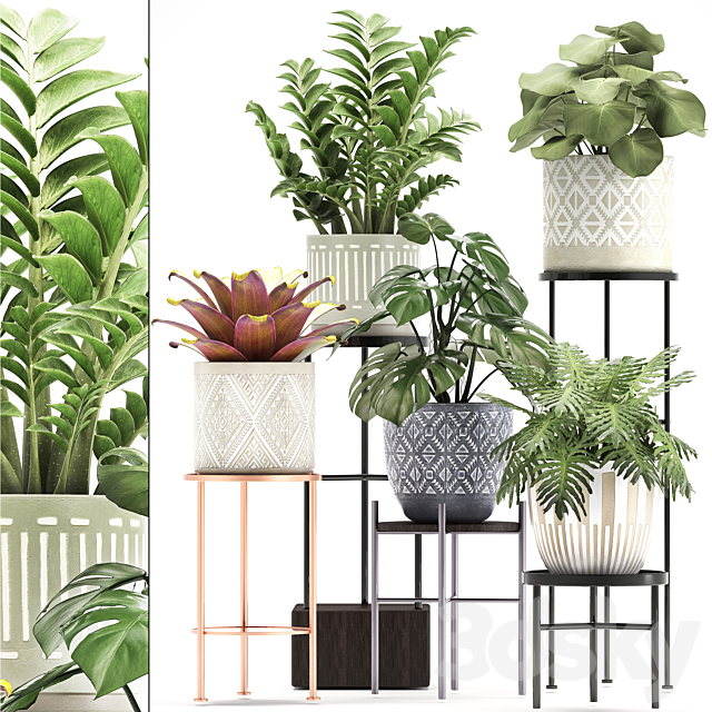 Collection of plants 333. Flower shelf. stand. Zamioculcas. monstera. Bromelia. Philodendron. houseplants. stand. Scandinavian style. flower 3DSMax File - thumbnail 1