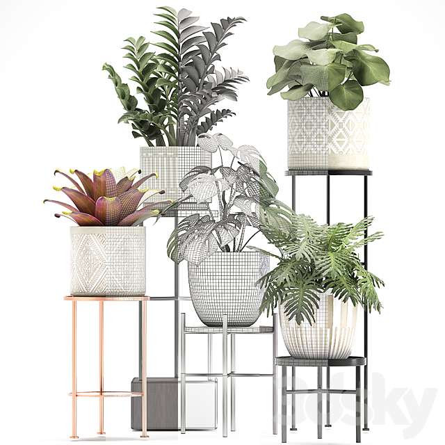 Collection of plants 333. Flower shelf. stand. Zamioculcas. monstera. Bromelia. Philodendron. houseplants. stand. Scandinavian style. flower 3DSMax File - thumbnail 3