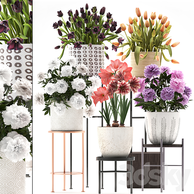 335 plant collection. Stand. Peony. Tulip. Hippeastrum. bouquet set. garden flowers. flower shelf. stand. Scandinavian style 3DSMax File - thumbnail 1