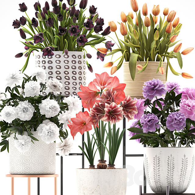 335 plant collection. Stand. Peony. Tulip. Hippeastrum. bouquet set. garden flowers. flower shelf. stand. Scandinavian style 3DSMax File - thumbnail 2