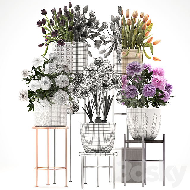 335 plant collection. Stand. Peony. Tulip. Hippeastrum. bouquet set. garden flowers. flower shelf. stand. Scandinavian style 3DSMax File - thumbnail 3