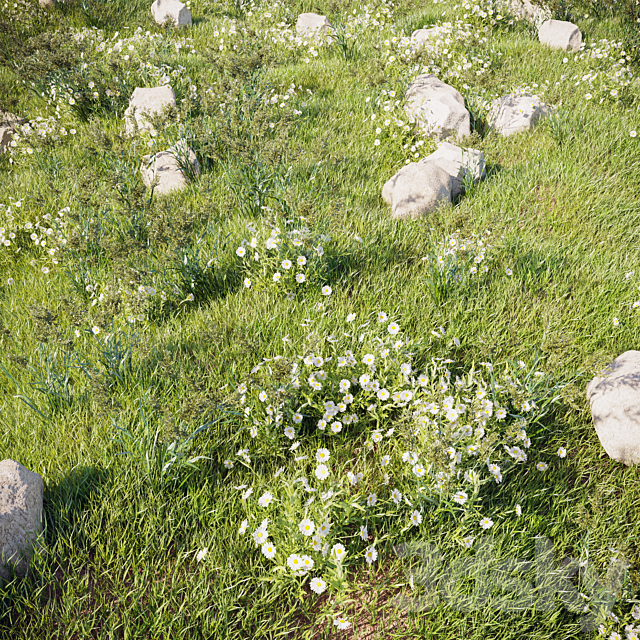 grass_for_landscaping_set02 3DSMax File - thumbnail 1