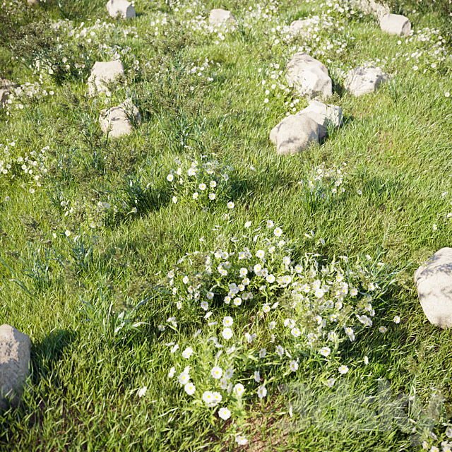 grass_for_landscaping_set02 3DSMax File - thumbnail 2
