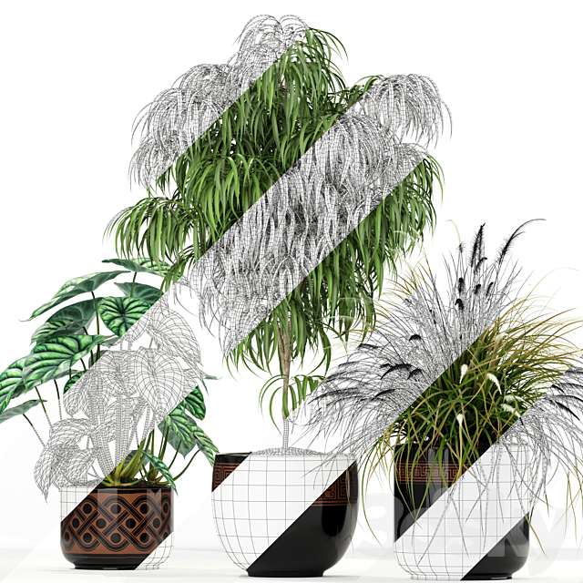 Plants collection 182 3DSMax File - thumbnail 3