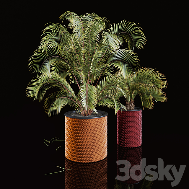 3dsky Free Download
