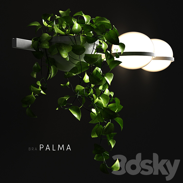 3d