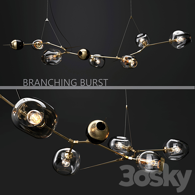 Branching bubble and Branching burst 3d