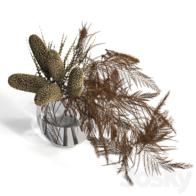 Dry banksia and fern 3d