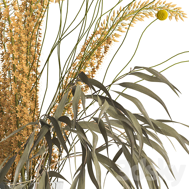 Eremurus & eucalyptus & craspedia bouquet 3DSMax File - thumbnail 2