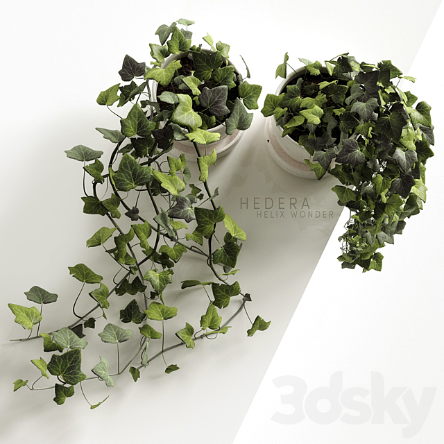 3dsky Free Download