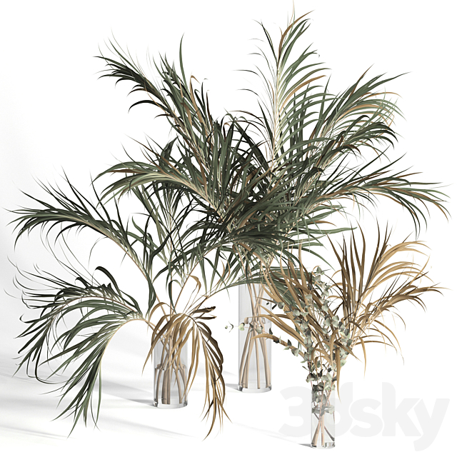Dry palm leaves in vases 3DSMax File - thumbnail 1