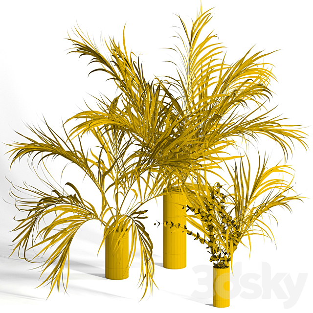 Dry palm leaves in vases 3DSMax File - thumbnail 2