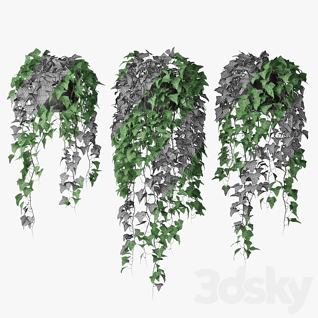3dsky Free Download
