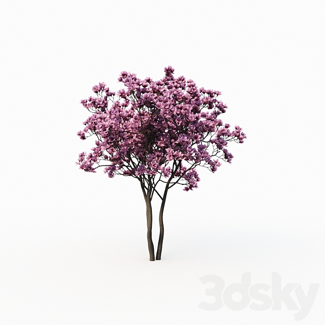 3d