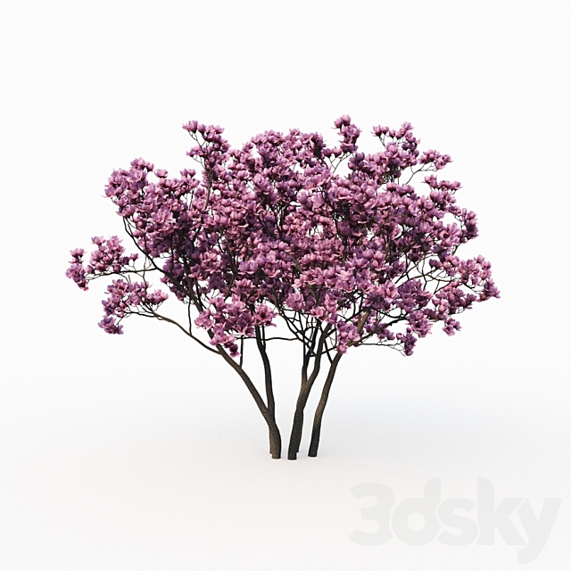 3dsky Free Download