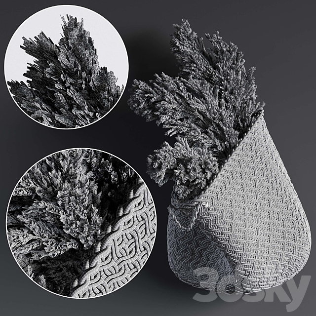 Pampas flower in hand basket 3d