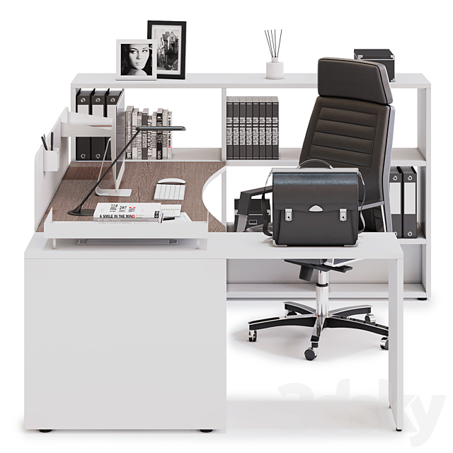 Office workspace LAS LOGIC (v8) 3d
