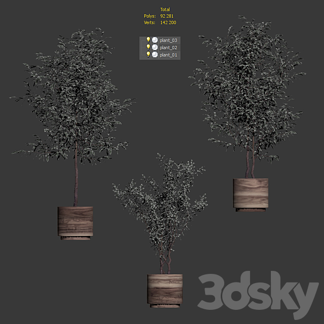 Plants in wooden pots. 3 models 3DSMax File - thumbnail 3
