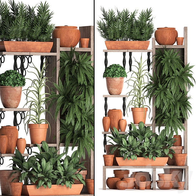 Plant Collection 366. Plant shelf. fern. flowerpot. greenery. vertical garden. clay pot. aloe. clinker. vertical garden. phytowall 3DSMax File - thumbnail 1
