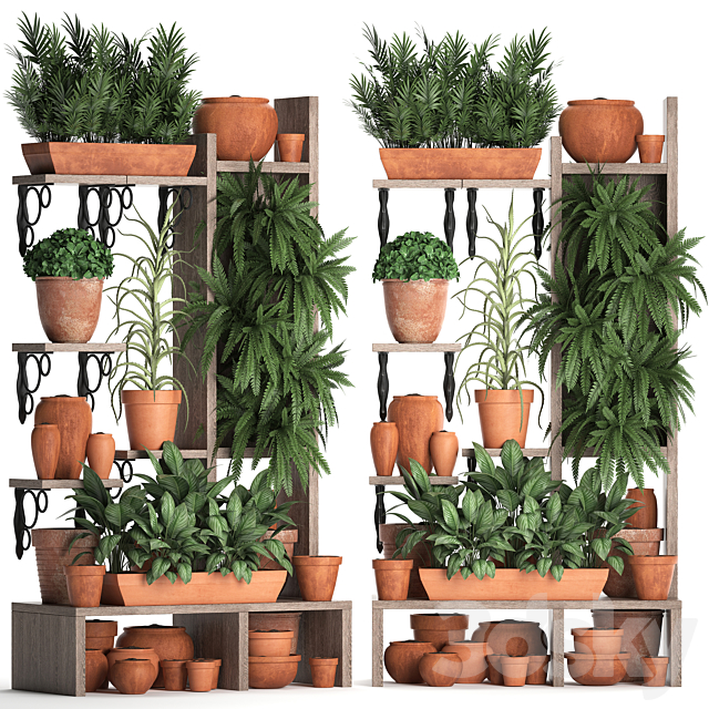 Plant Collection 366. Plant shelf. fern. flowerpot. greenery. vertical garden. clay pot. aloe. clinker. vertical garden. phytowall 3DSMax File - thumbnail 2