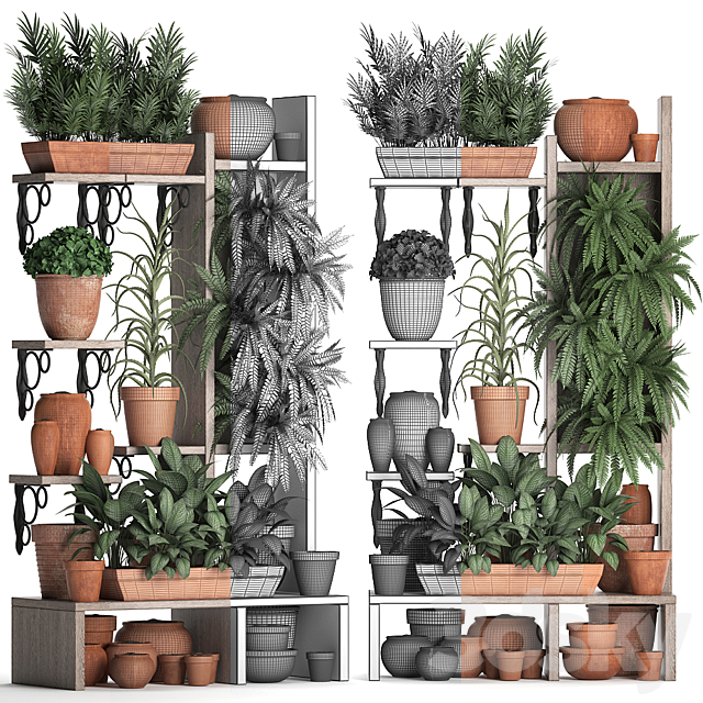 Plant Collection 366. Plant shelf. fern. flowerpot. greenery. vertical garden. clay pot. aloe. clinker. vertical garden. phytowall 3DSMax File - thumbnail 3