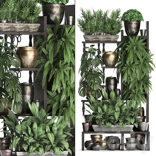 Plant Collection 368. Flower shelf. fern. monstera. flowerpot. greenery. vertical garden. phytowall. phytomodule. pots. eco design 3DSMax File - thumbnail 1