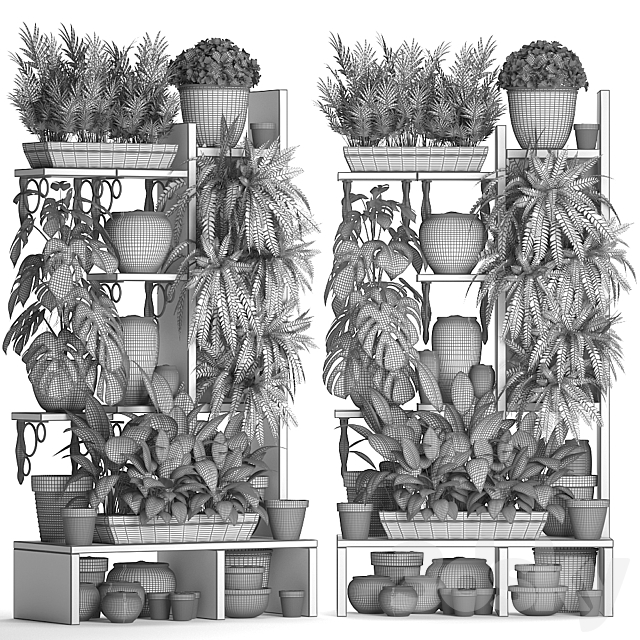 Plant Collection 368. Flower shelf. fern. monstera. flowerpot. greenery. vertical garden. phytowall. phytomodule. pots. eco design 3DSMax File - thumbnail 3