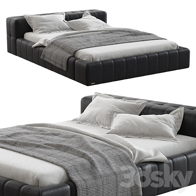Frankof _ brest 3d