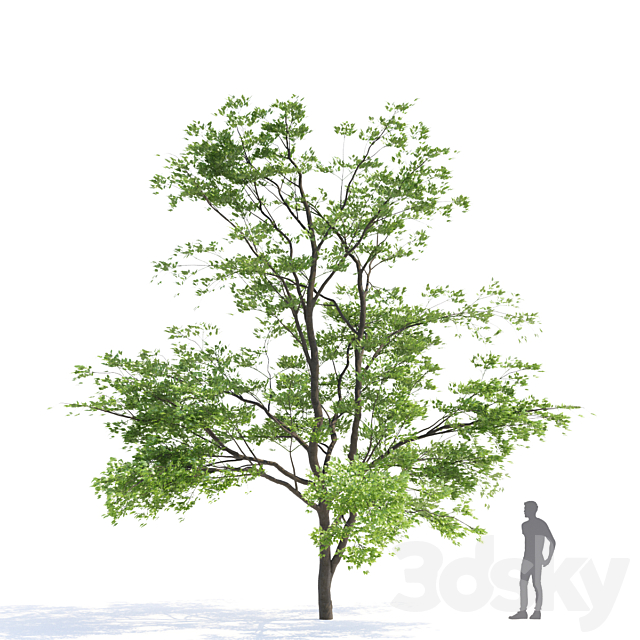 3dsky Free Download