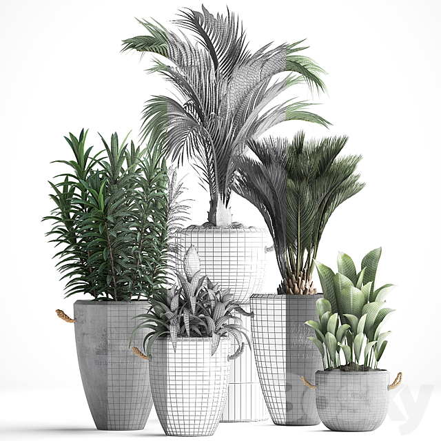 Plant Collection 379. Concrete pot. ornamental palm tree. bromeliad. date palm. oleander. indoor plants. outdoor. bushes. interior. exotic 3DSMax File - thumbnail 3