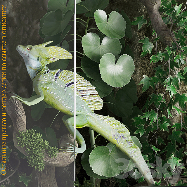 3dsky Free Download