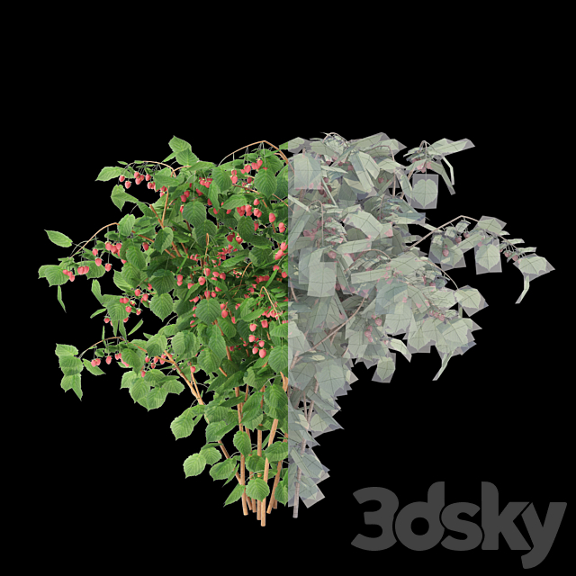 3d