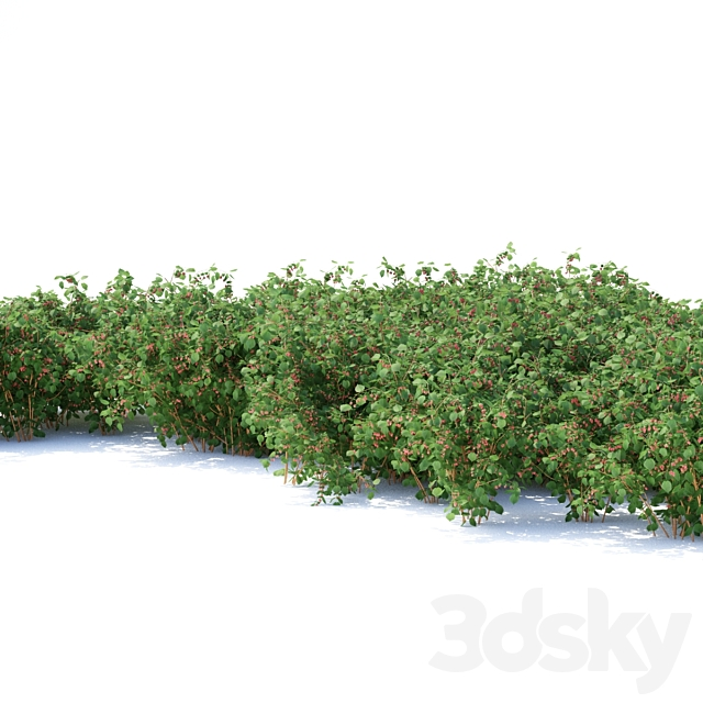 3dsky Free Download