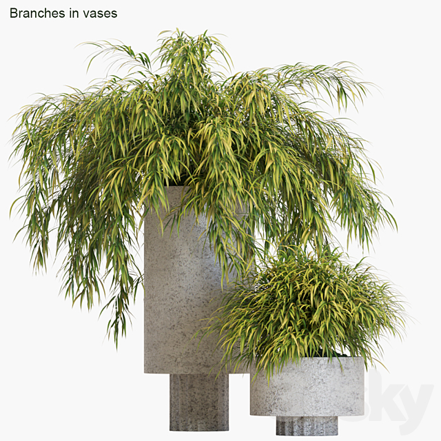 Branches in vases # 14: Hakonechloa 3DSMax File - thumbnail 1