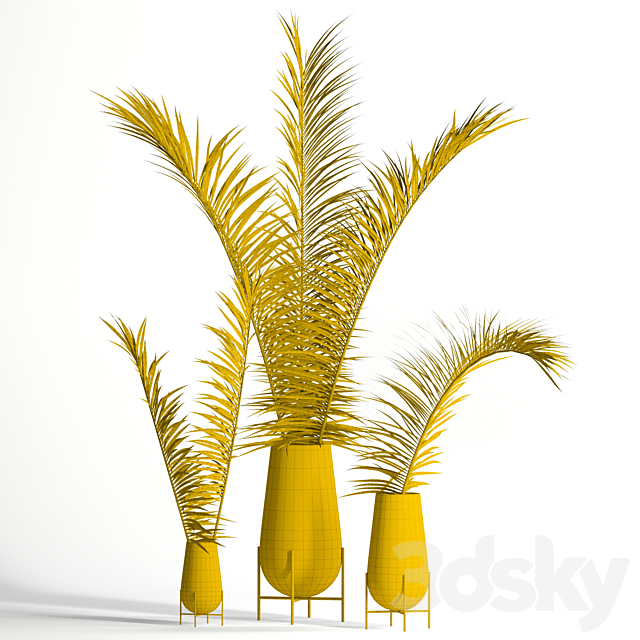 Dry palm leaves in Echasse vases 3d