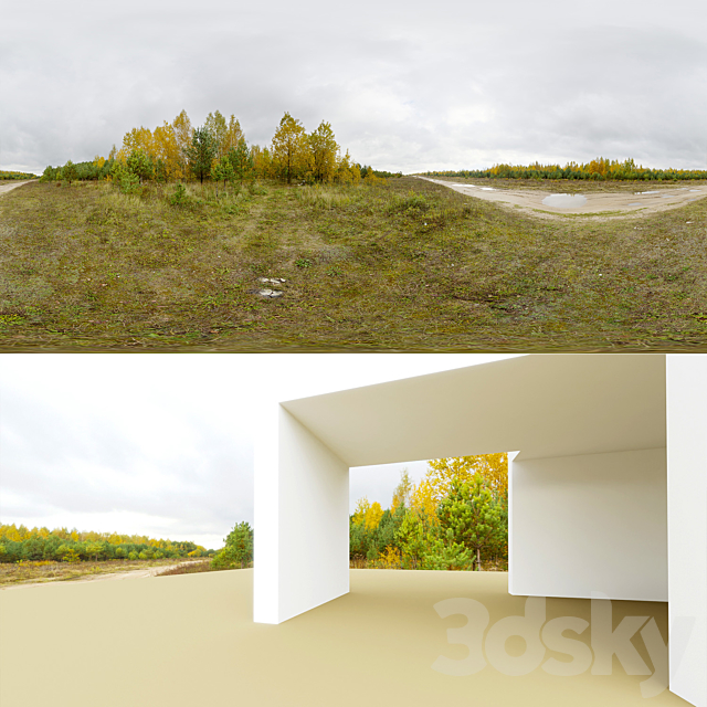 3d