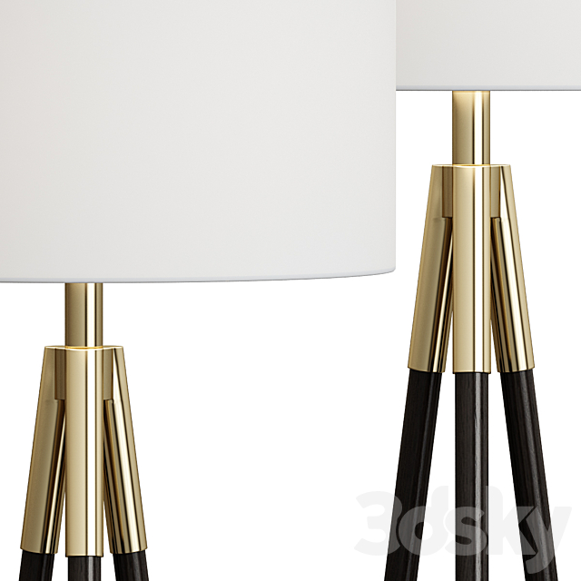 Crate & Barrel _ Hyde Brass and Bronze Metal Tripod Floor Lamp 3d