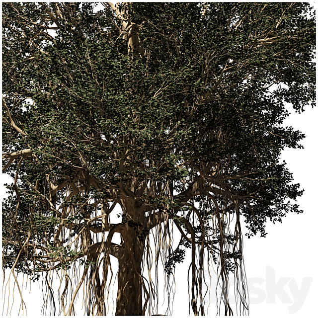 banyan tree 3DSMax File - thumbnail 3