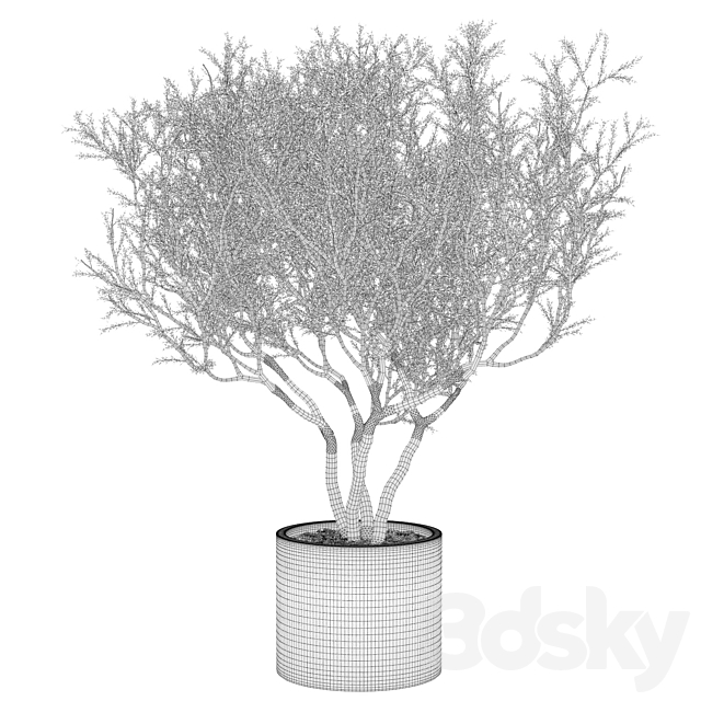 Plant set 02 – European olive 3DSMax File - thumbnail 3