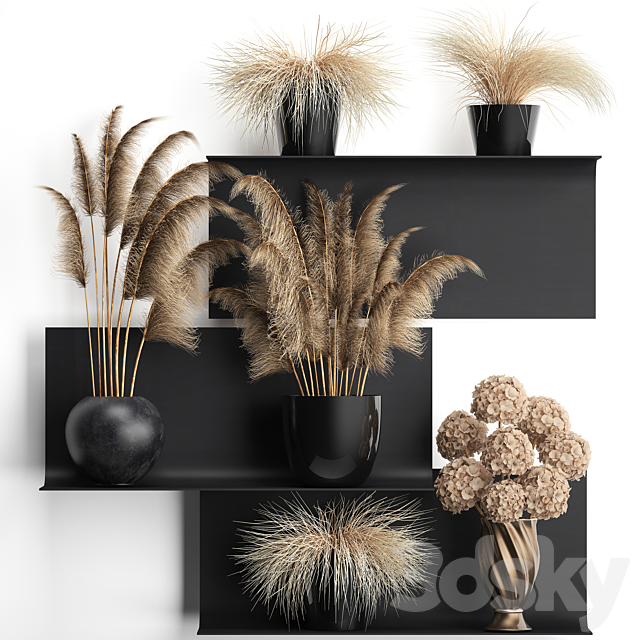 A collection of bouquets of dried flowers in vases on a black metal shelf with pampas. dry hydrangea. Cortaderia. Set 90. 3DSMax File - thumbnail 1