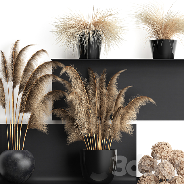 A collection of bouquets of dried flowers in vases on a black metal shelf with pampas. dry hydrangea. Cortaderia. Set 90. 3DSMax File - thumbnail 2