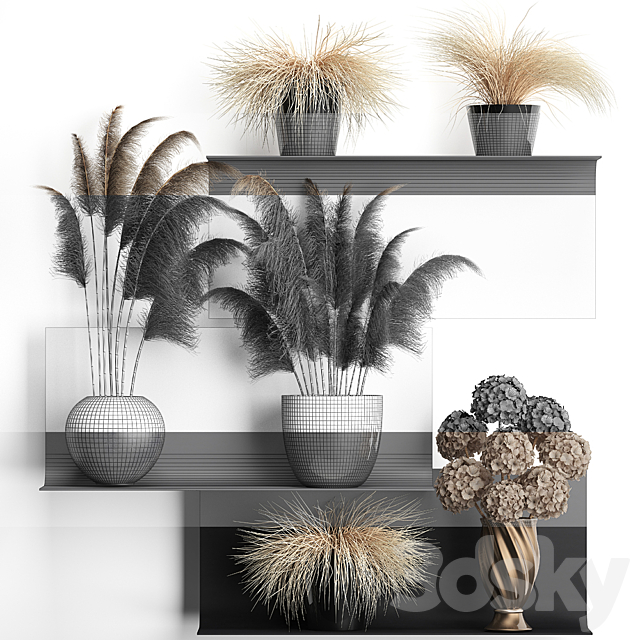 A collection of bouquets of dried flowers in vases on a black metal shelf with pampas. dry hydrangea. Cortaderia. Set 90. 3DSMax File - thumbnail 3