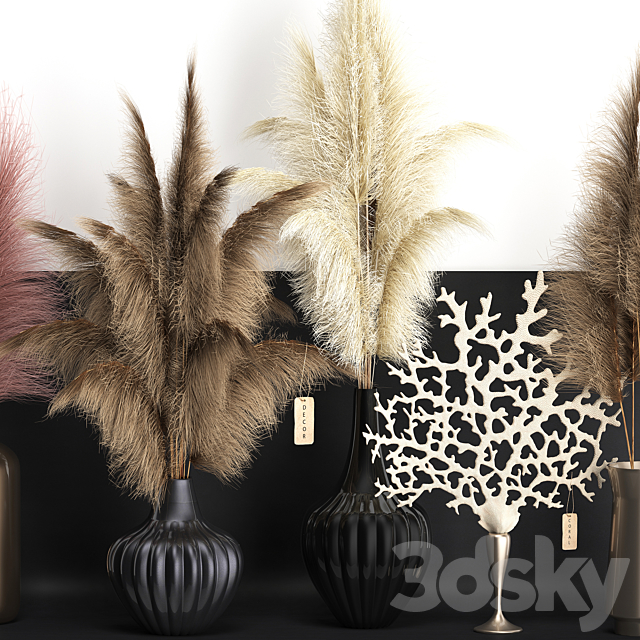 A collection of bouquets of dried flowers in vases on a black metal shelf with pampas. coral. Cortaderia. Set 11. 3d