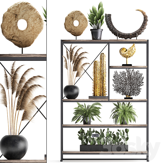 Decorative set 14. Decor shelf. tusk. pampas grass. dried flower. coral. cactus. fern. rack. loft decor 3DSMax File - thumbnail 1