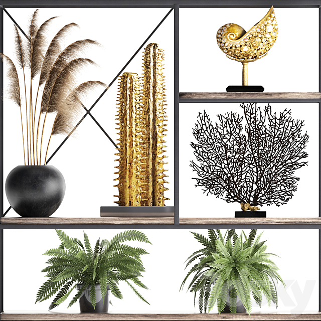 Decorative set 14. Decor shelf. tusk. pampas grass. dried flower. coral. cactus. fern. rack. loft decor 3DSMax File - thumbnail 2