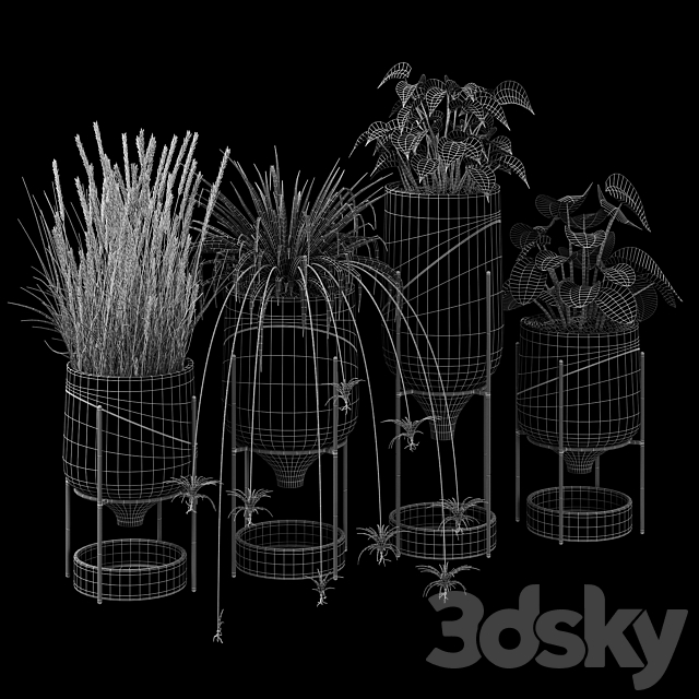 3dsky Free Download