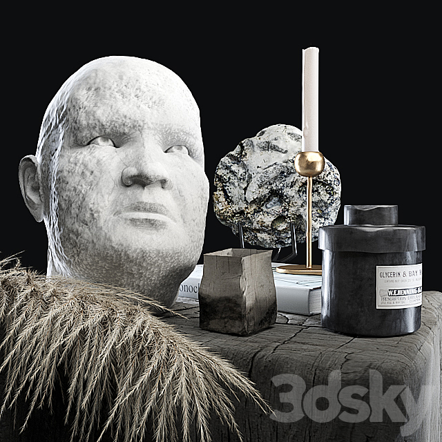 Decorative set 5 with dried plants 3d